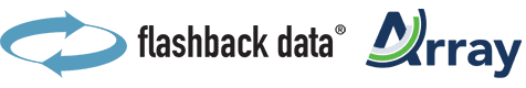 Flashback Data